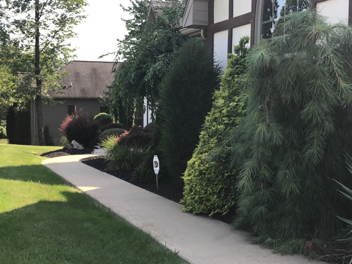 Curb-appeal front-yard landscaping