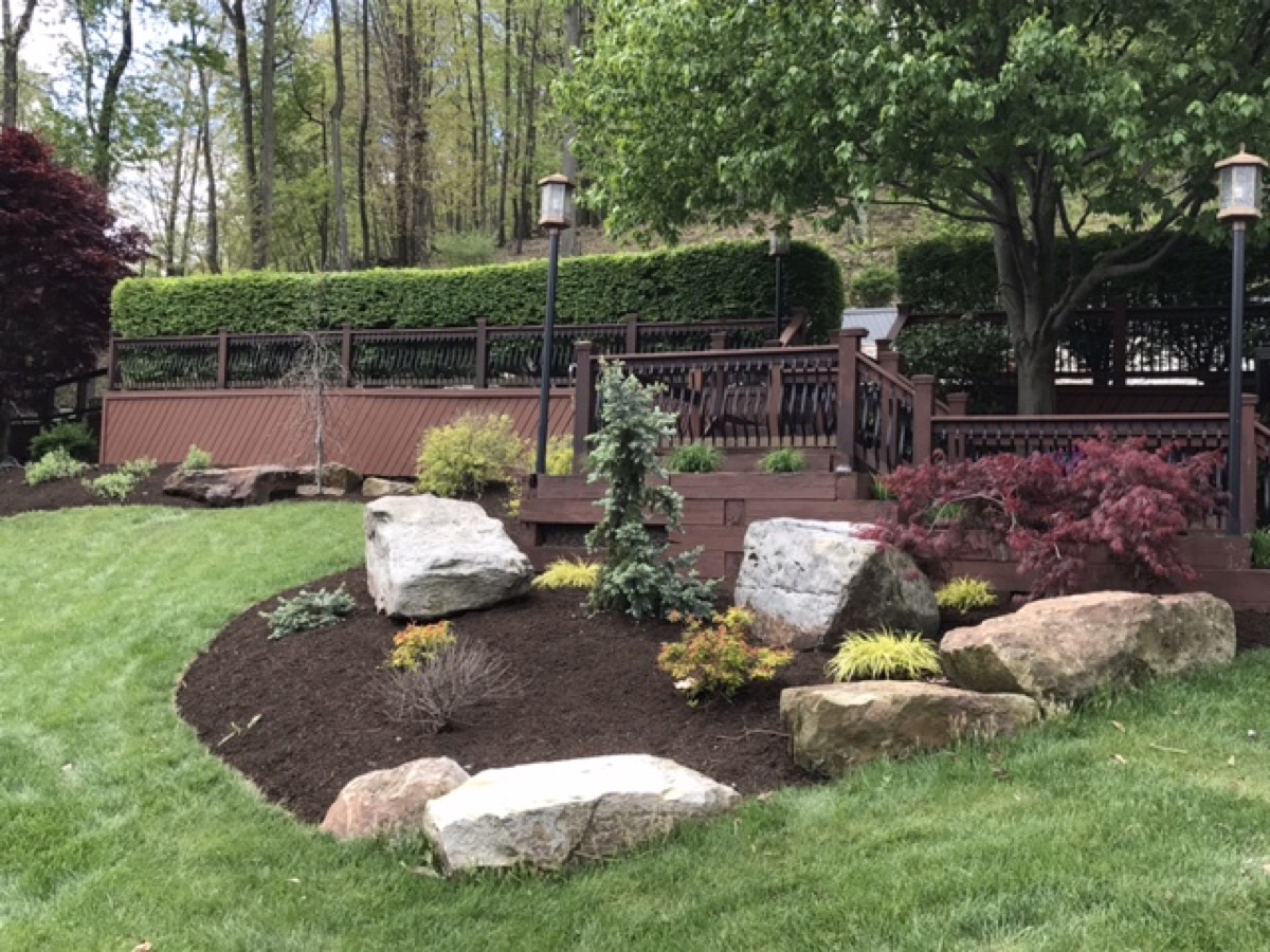 Mulch bed with landscape design and decorative boulders
