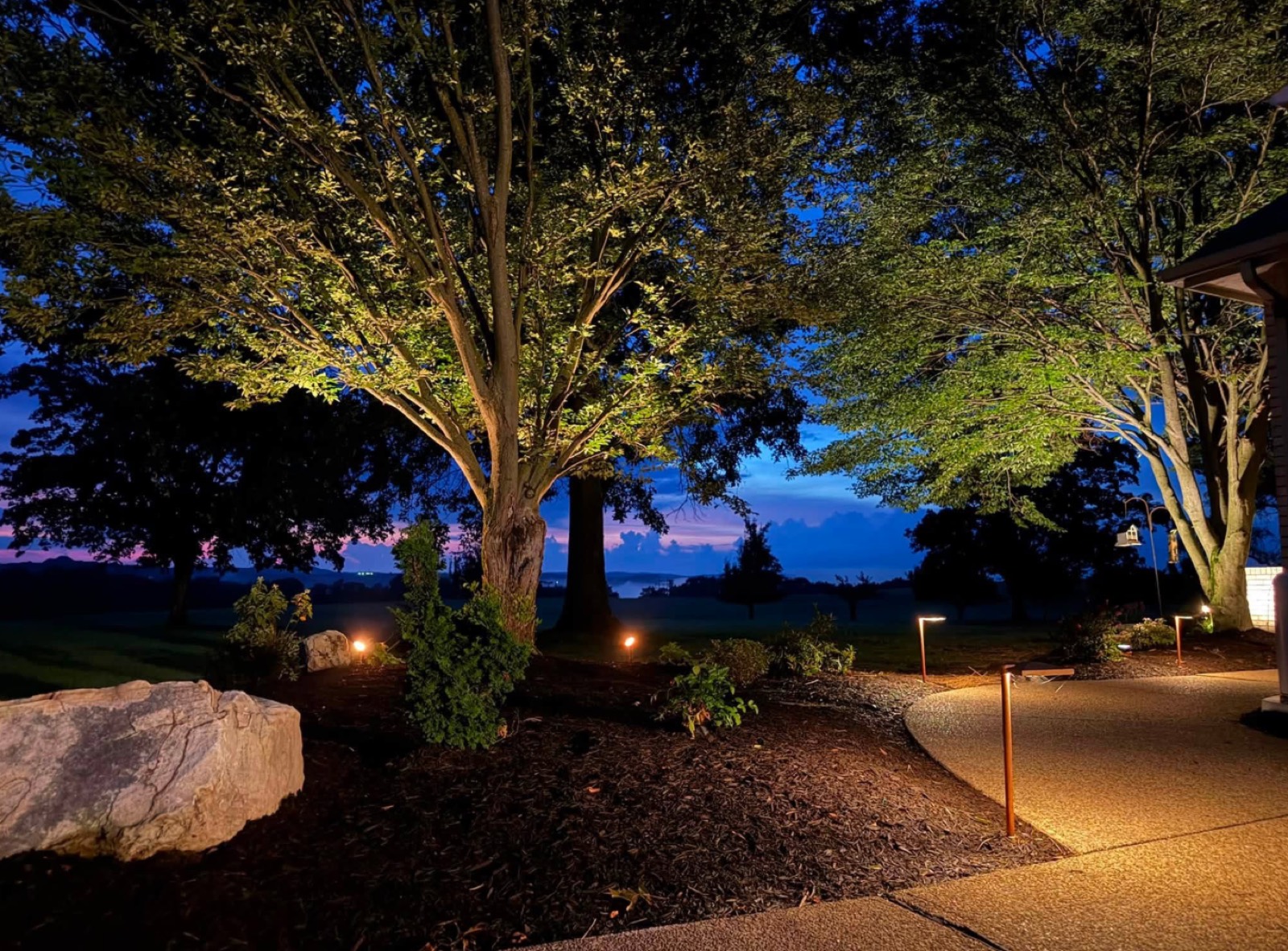 Nighttime landscape lighting with tree uplighting and path lights
