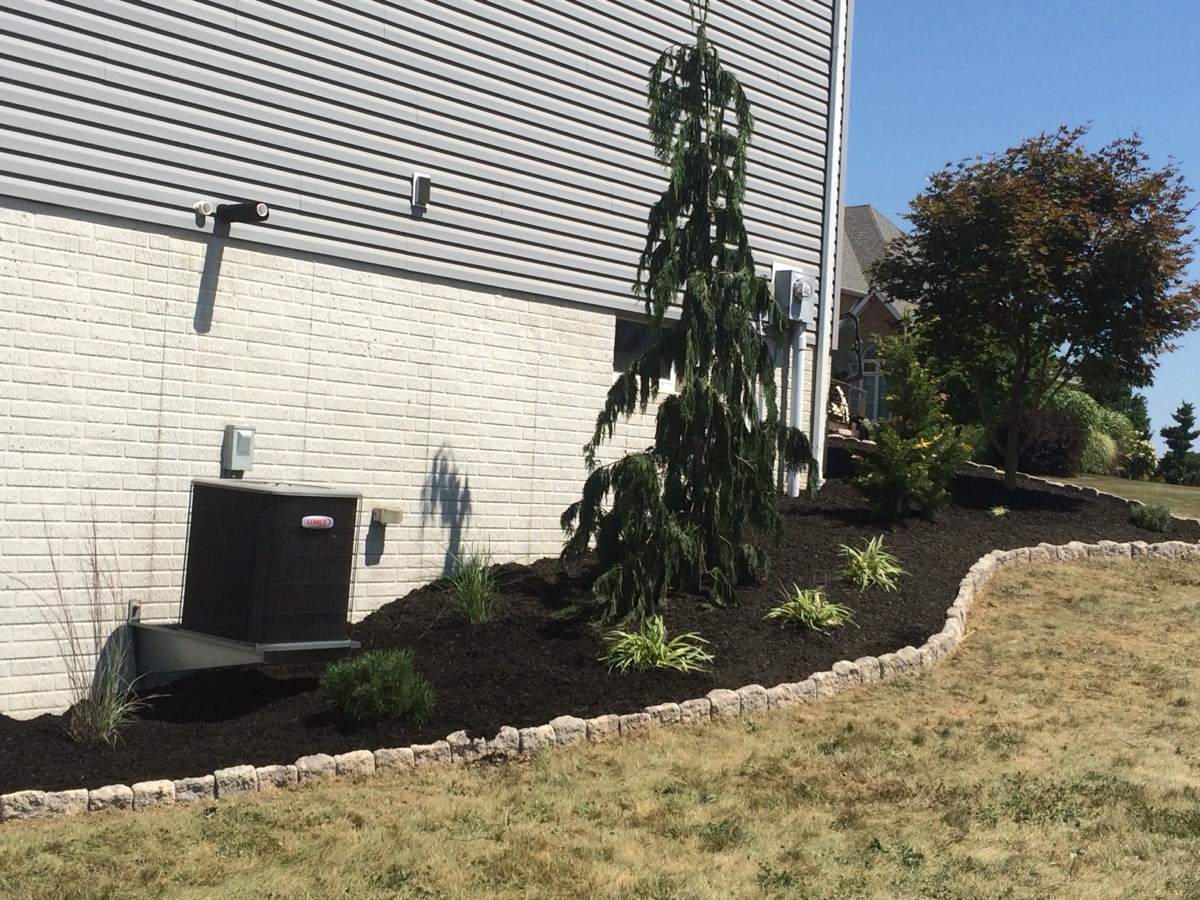 Landscape bed with custom paver edging